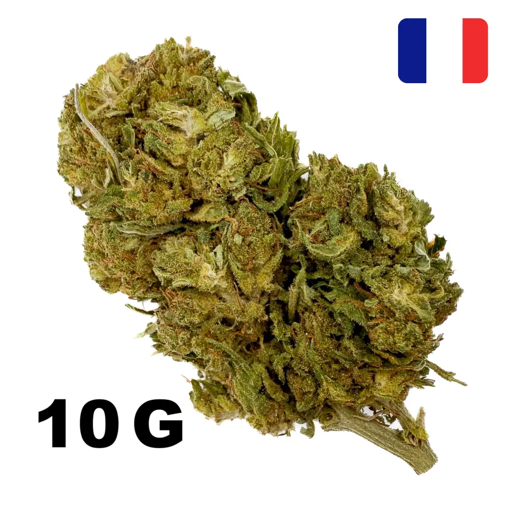 Fleur de CBD Jack Herer 10% 10G CBD en vente sur Jeffriz